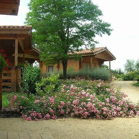 Auberge Du Flambadou Villematier Exterior photo